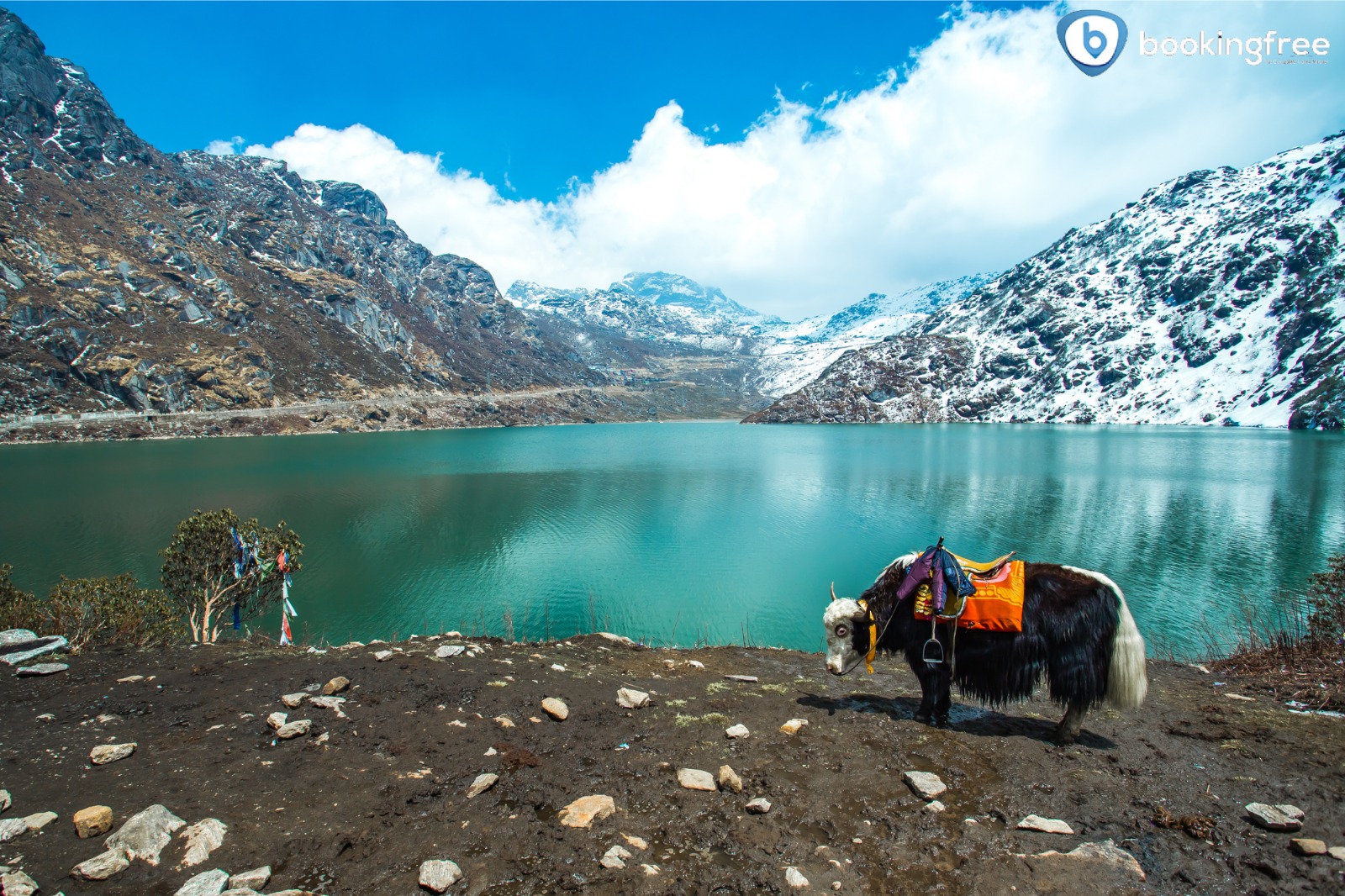 Sikkim Trip