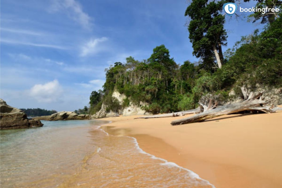 Andaman Tour Package
