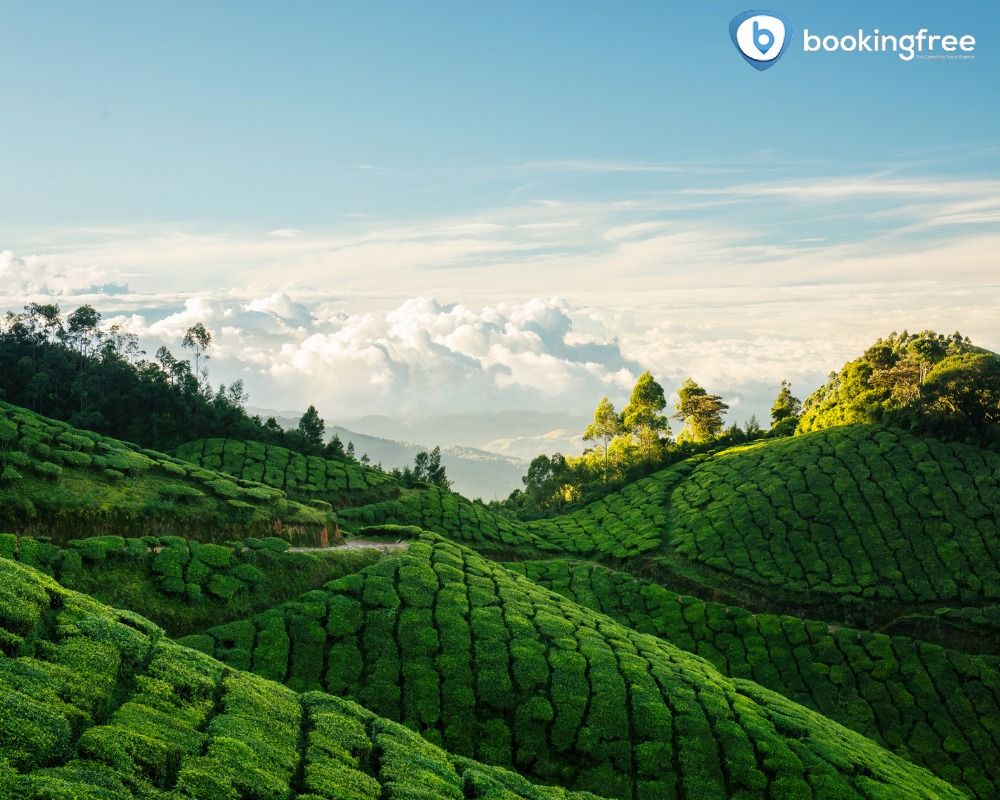 Blissful Hills Retreat