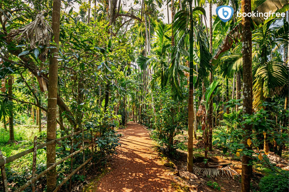 Royal Romance Trail