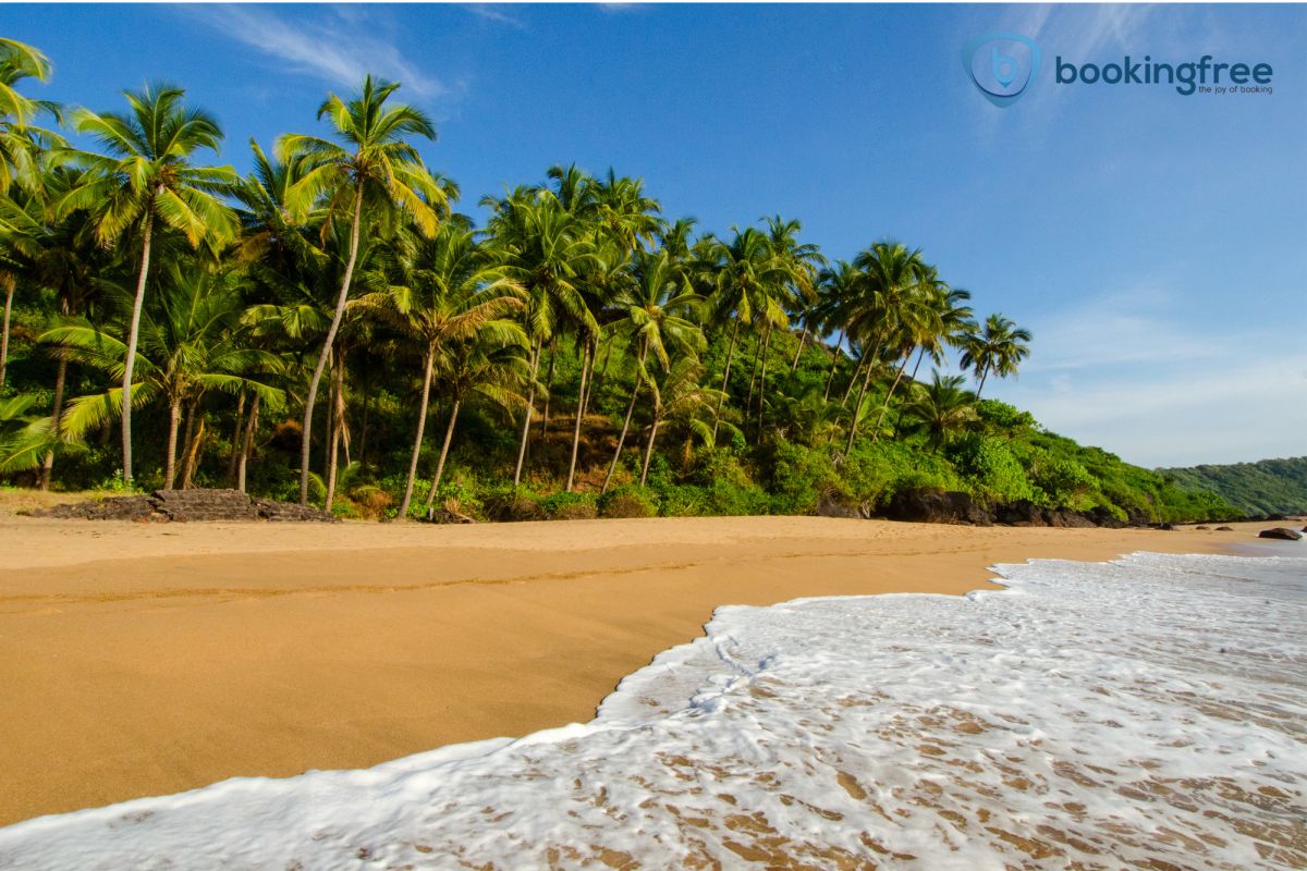 Romantic Kerala Journey